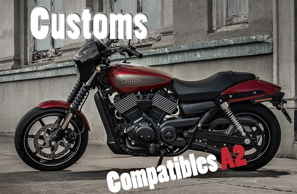 Tous les customs homologués pour le permis A2
